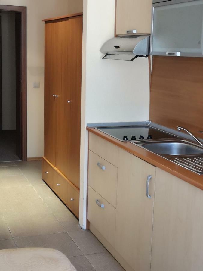 Excellent Studios For Your Vacation-Hotel Villa Park- Borovets Esterno foto